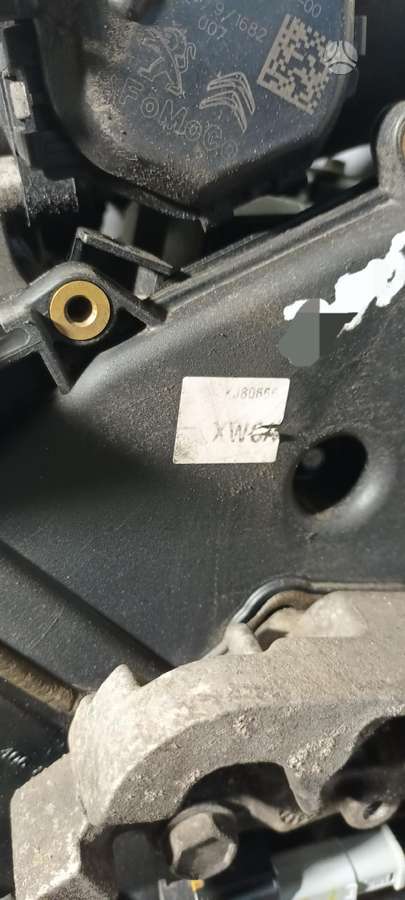 Ford Transit Courier, Xwca, variklis