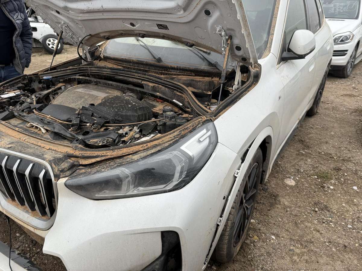 BMW X1 dalimis