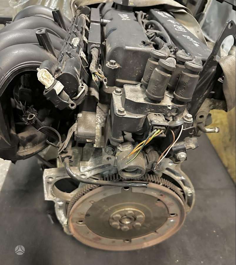Ford Focus variklis