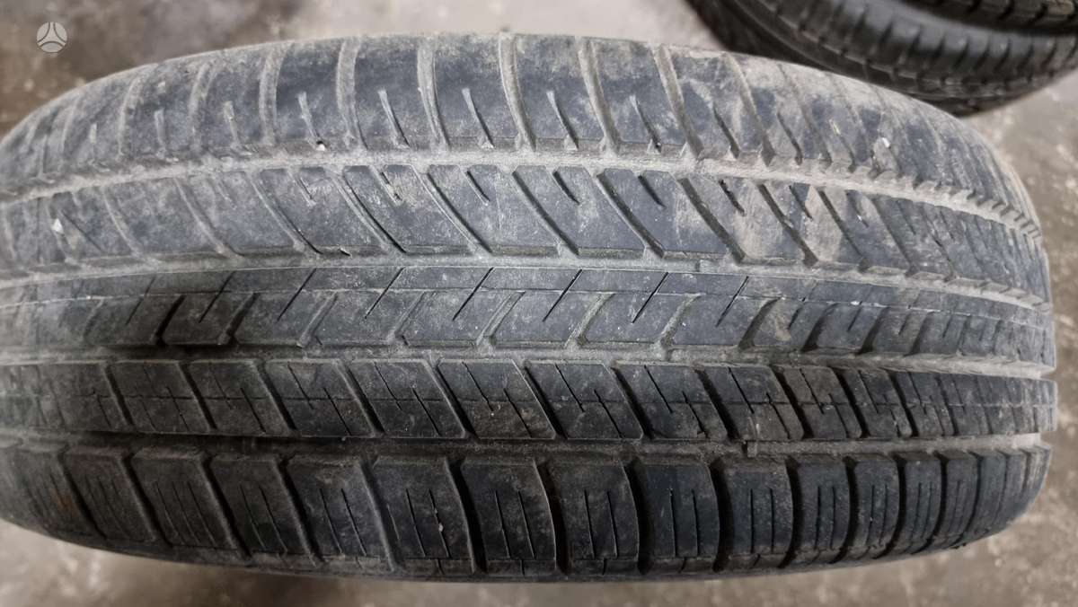 Michelin, vasarinės 205/65 R15