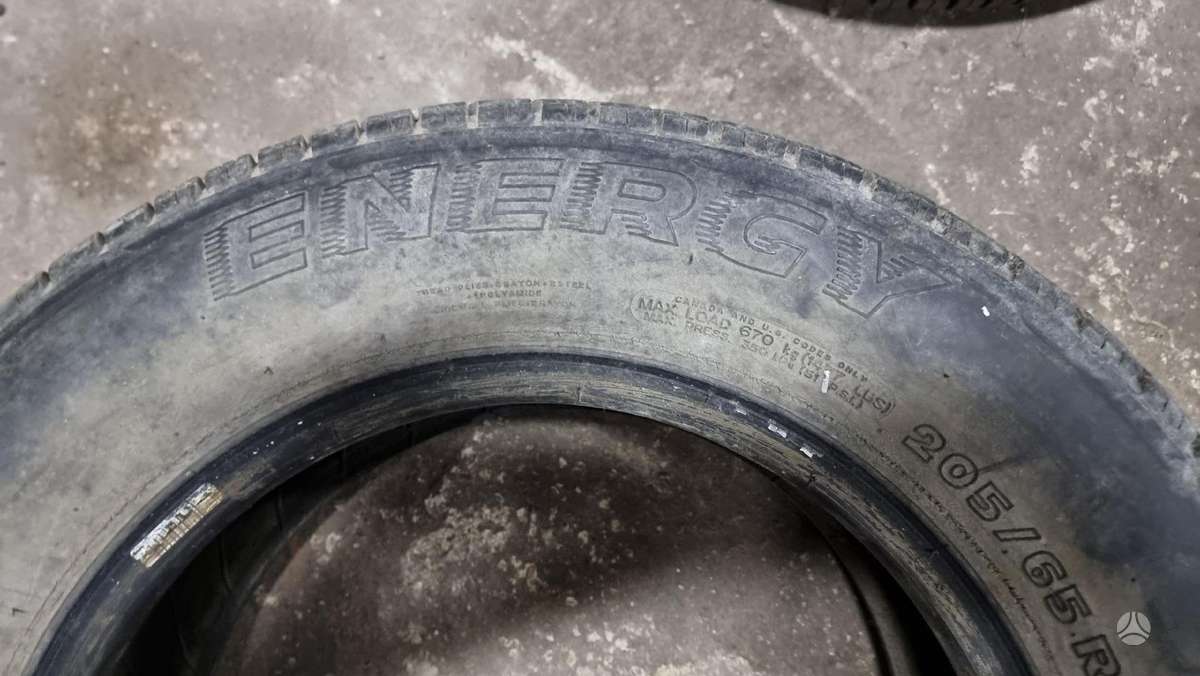 Michelin, vasarinės 205/65 R15