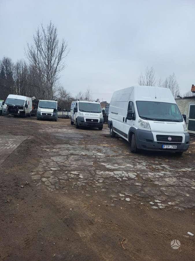 Fiat Ducato, грузовые микроавтобусы