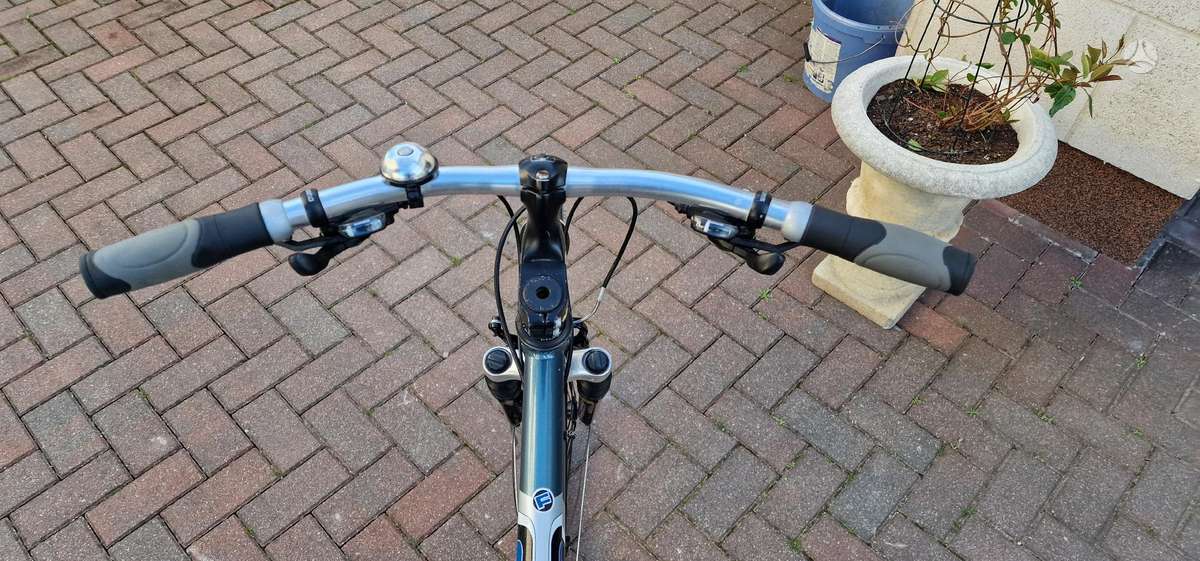 Miesto dviratis Focus 28″