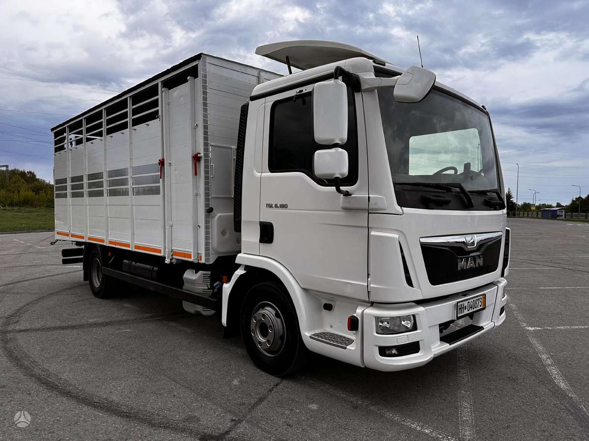 MAN TGL8-180BL, gyvulių pervežimo