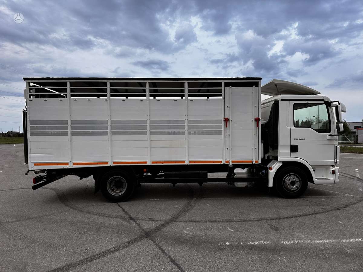 MAN TGL8-180BL, gyvulių pervežimo