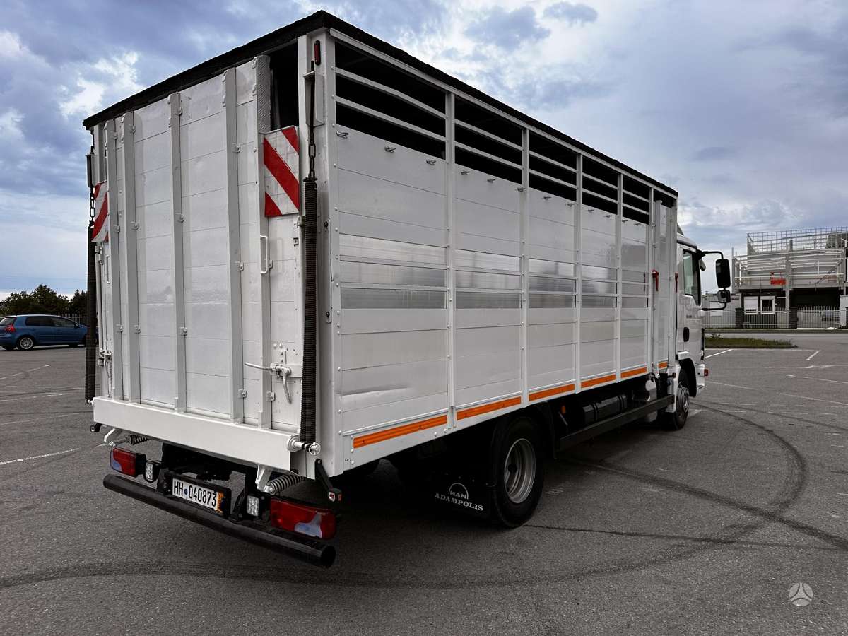MAN TGL8-180BL, gyvulių pervežimo