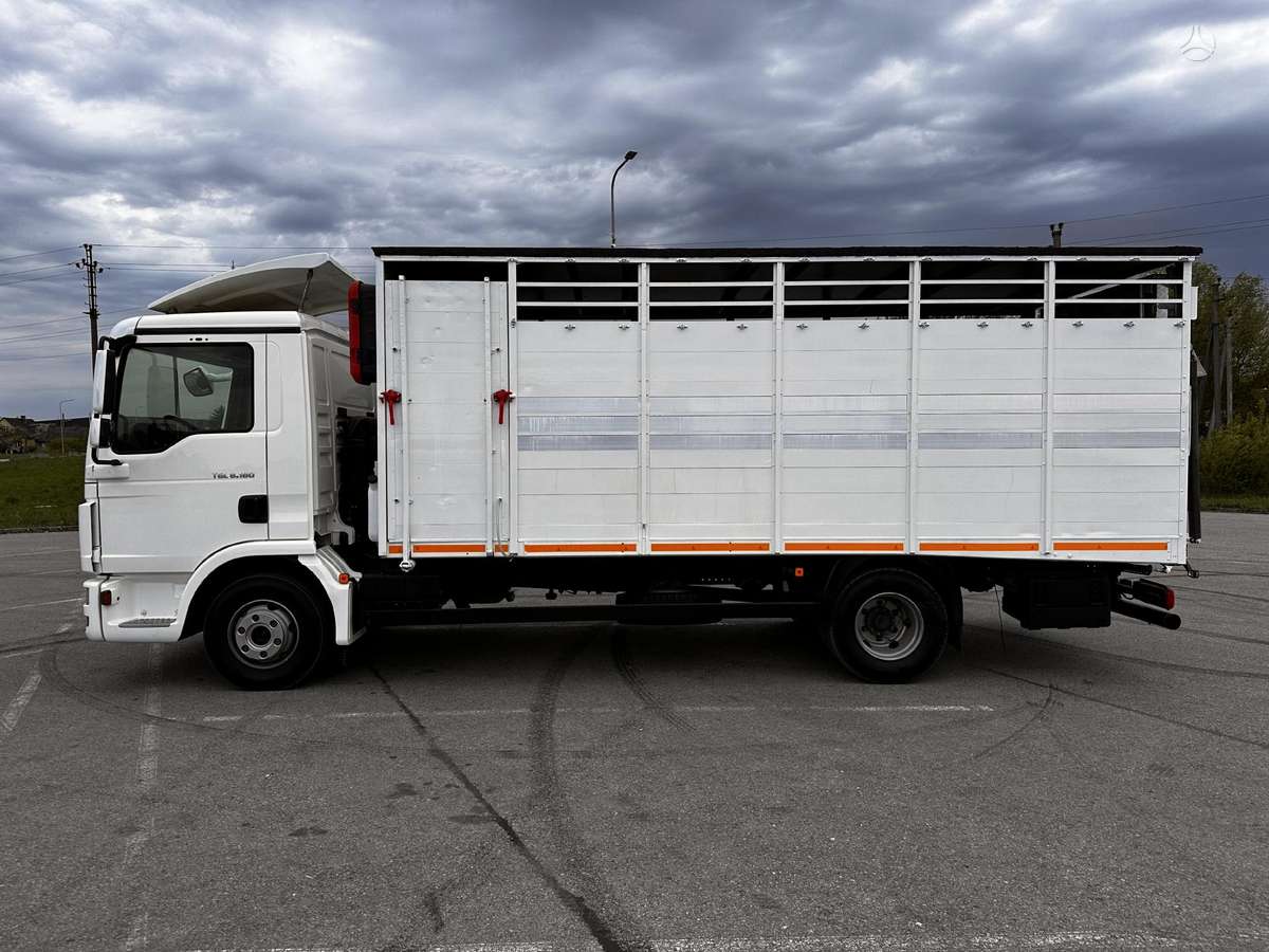 MAN TGL8-180BL, gyvulių pervežimo