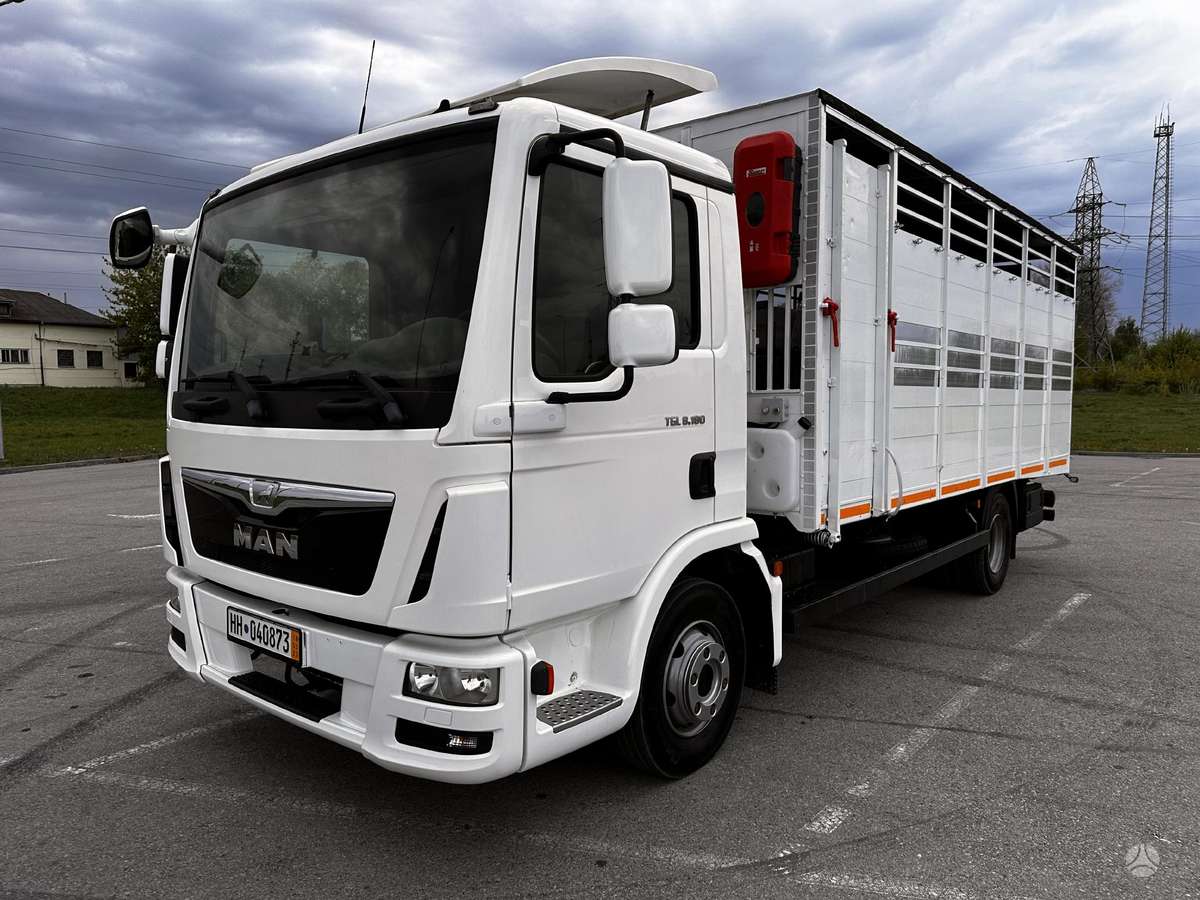 MAN TGL8-180BL, gyvulių pervežimo