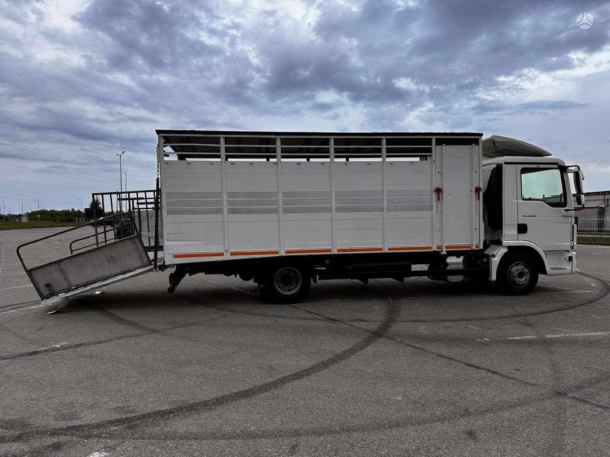 MAN TGL8-180BL, скотовозы