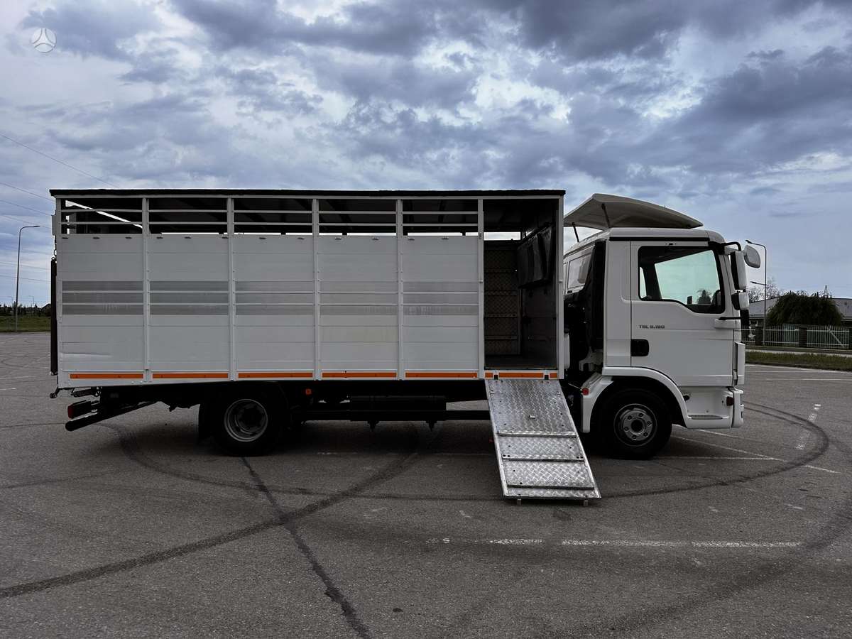 MAN TGL8-180BL, gyvulių pervežimo