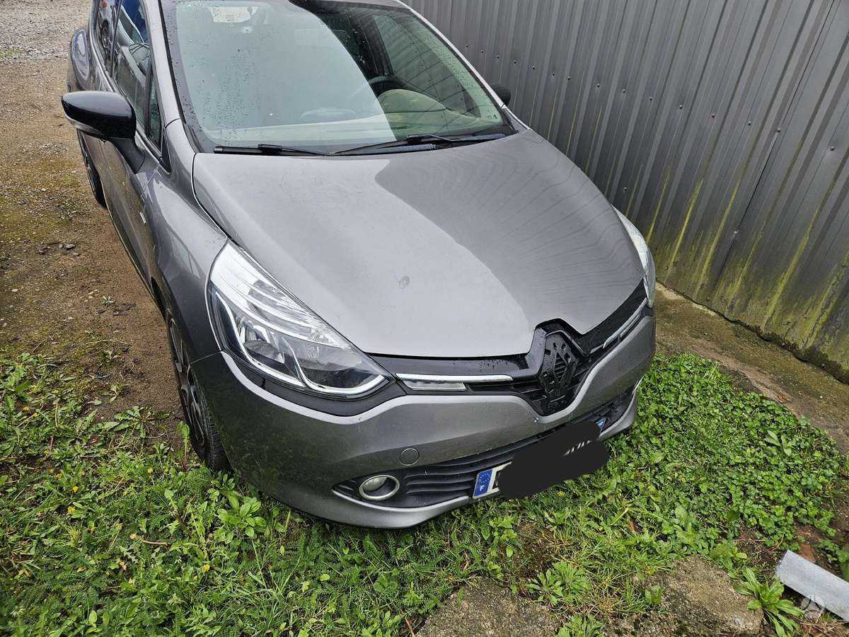 Renault Clio Dalis siunčiame į kitus miestus