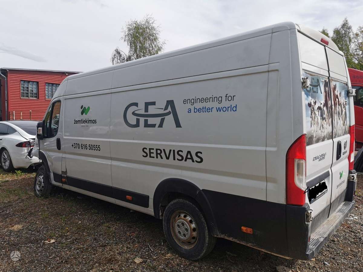 Fiat Ducato, cargo vans