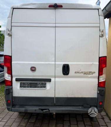 Fiat Ducato, cargo vans