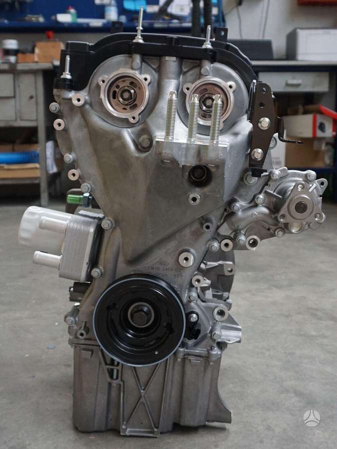 Ford Focus, M1DA M1DD M2DA M2DC, двигатель