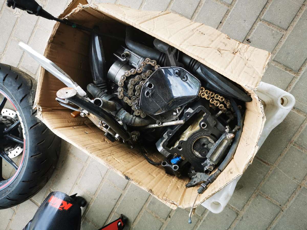 KTM Duke, street / classic