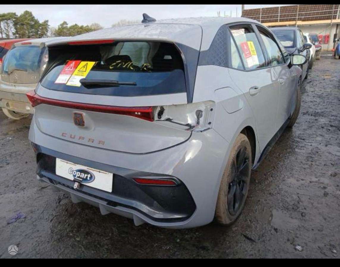 Cupra Born dalimis