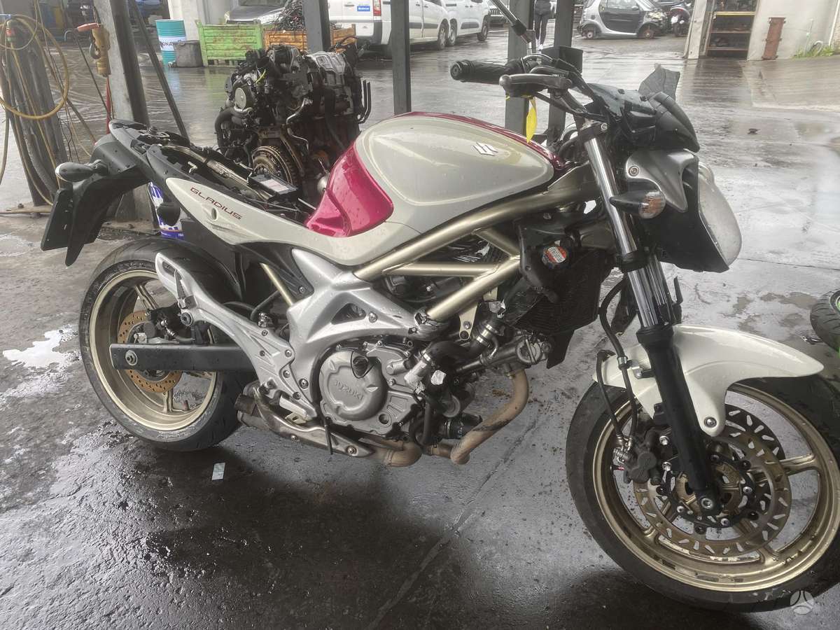 Suzuki SFV (Gladius), street / classic