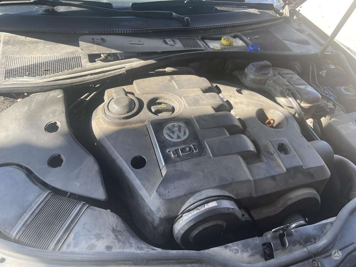 Volkswagen Passat dalimis
