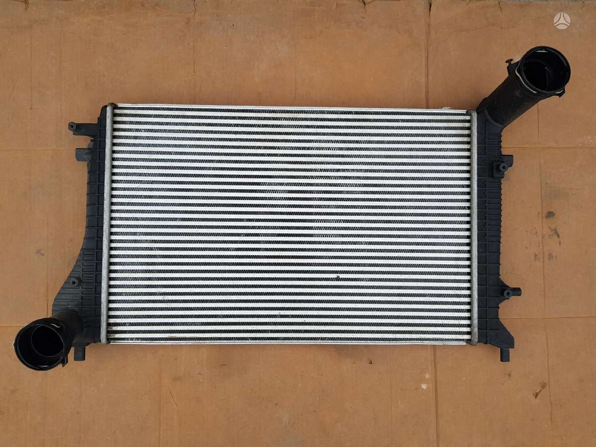 Volkswagen Eos, 1Q0, variklio aušinimo detalės
