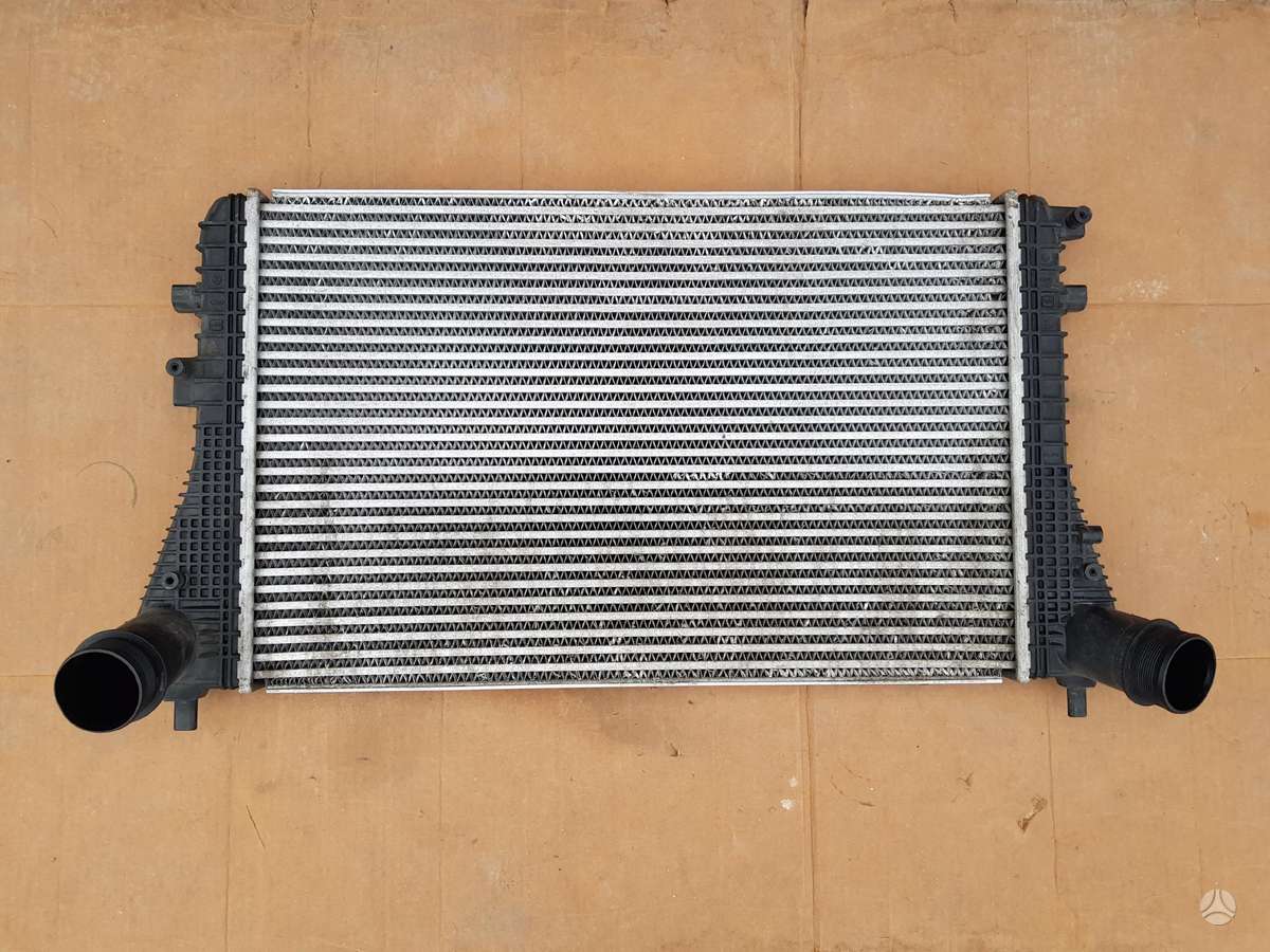 Volkswagen Eos, 1Q0, variklio aušinimo detalės