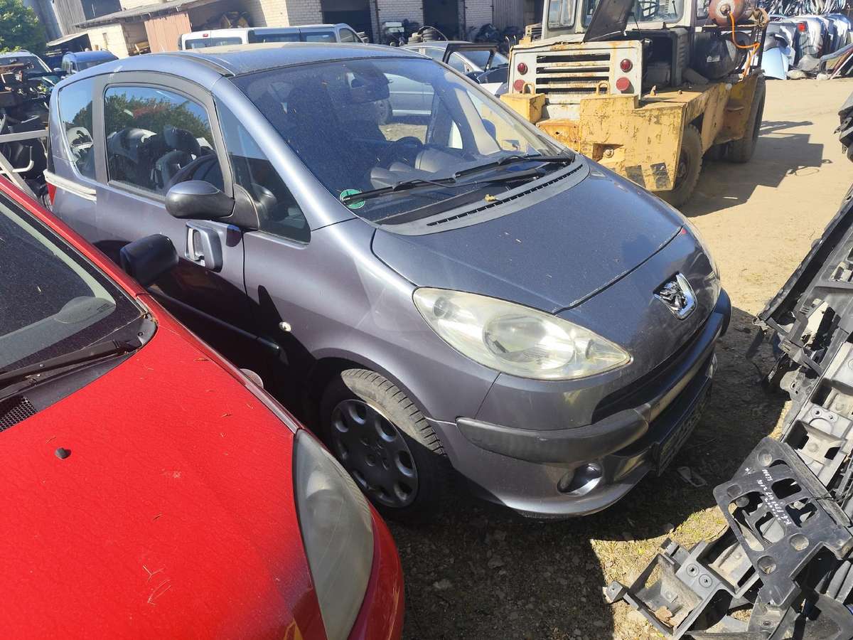 Peugeot 1007 по частям