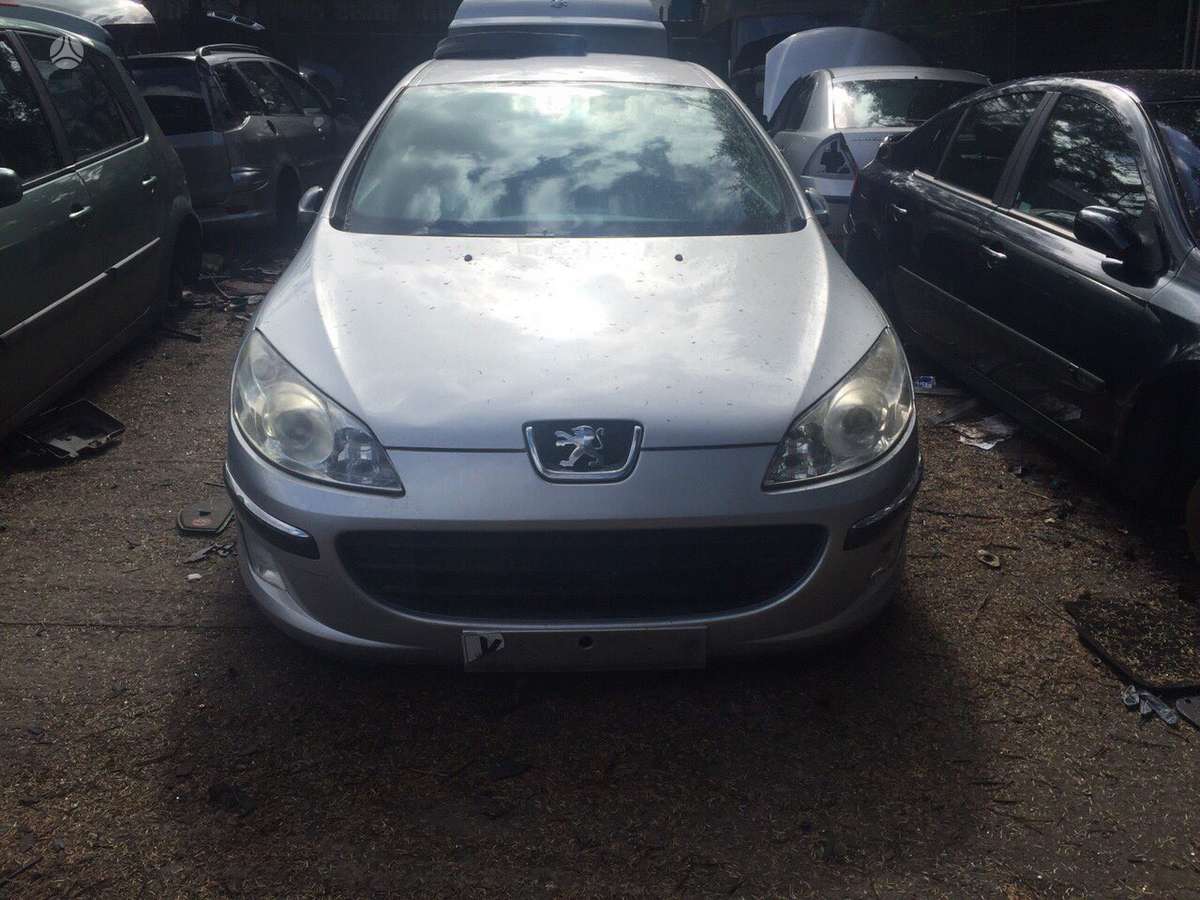 Peugeot 407 variklio detalės