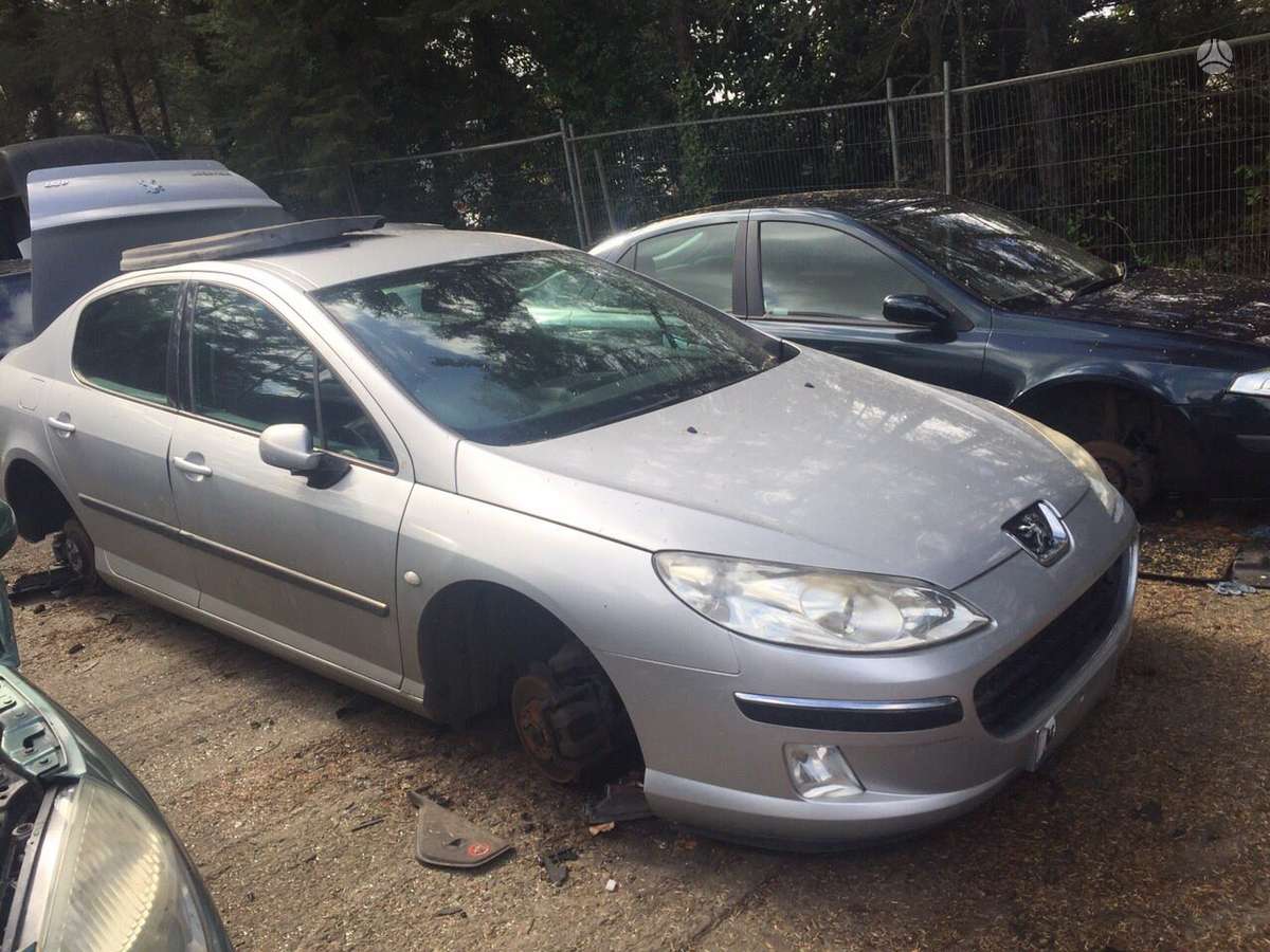 Peugeot 407 variklio detalės