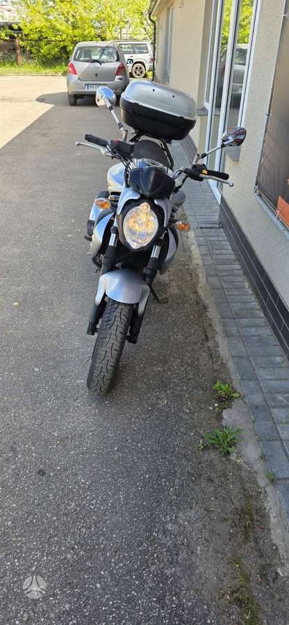 Suzuki SFV (Gladius) 650cc, street / classic