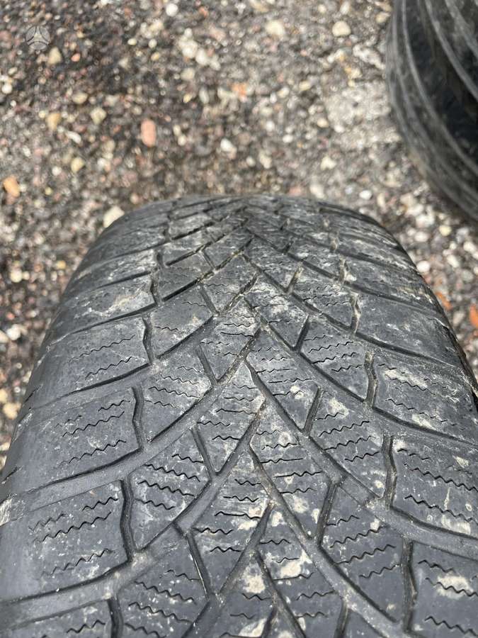 Bridgestone Blizak Lm005, winter 195/65 R15