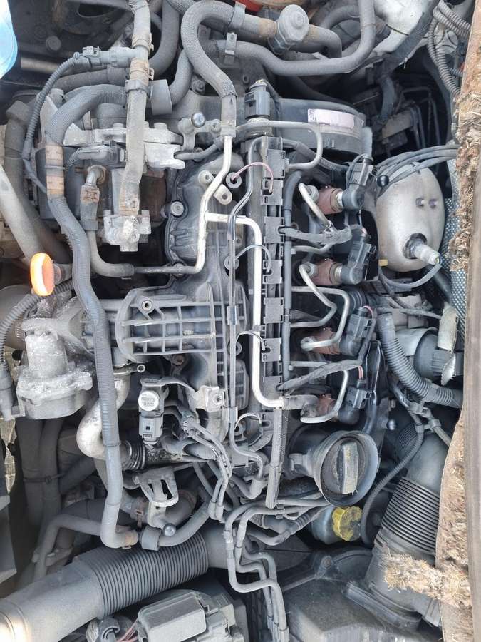 Skoda Roomster Prašiškių 53 12
