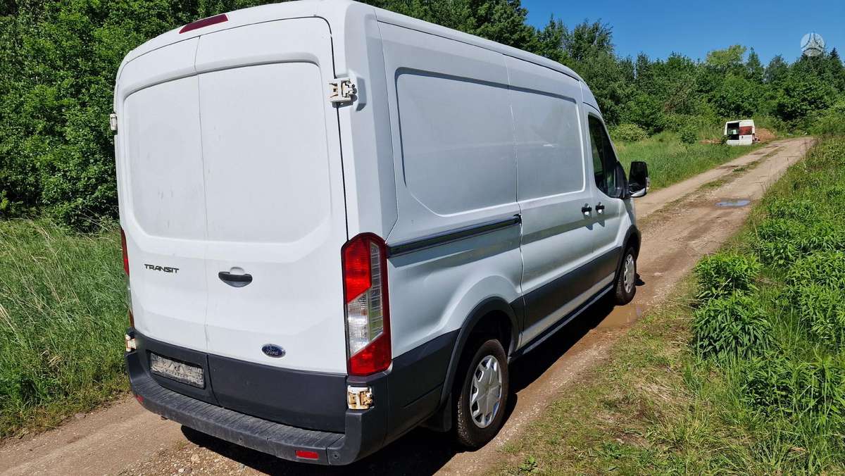 Ford Transit, грузовые микроавтобусы