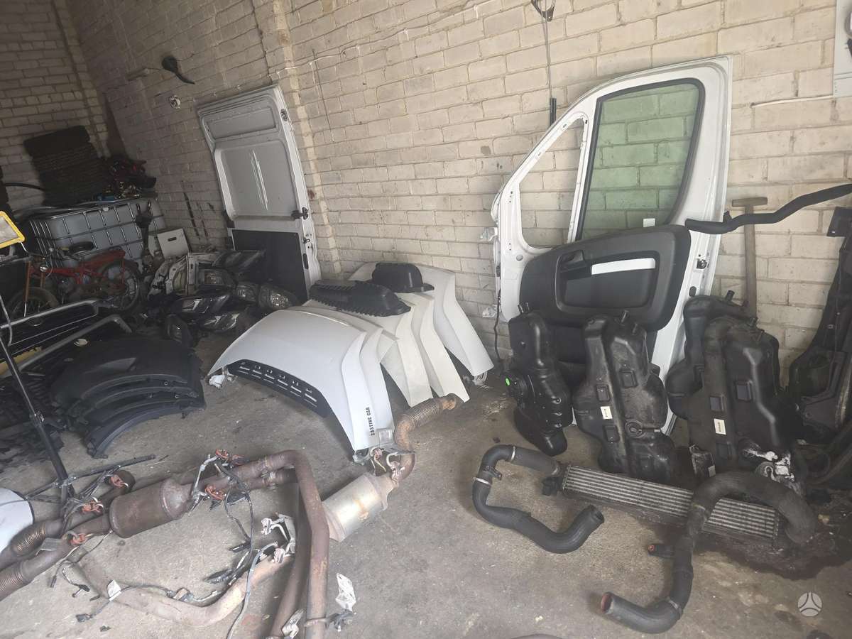 Fiat Ducato, krovininiai mikroautobusai