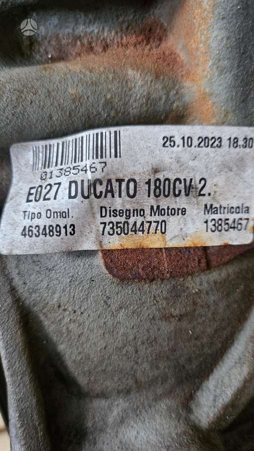 Fiat Ducato, cargo vans