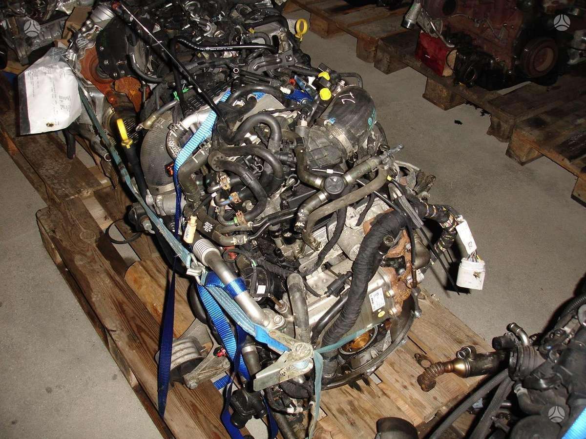 Volkswagen Transporter, CXH CXE, engine parts