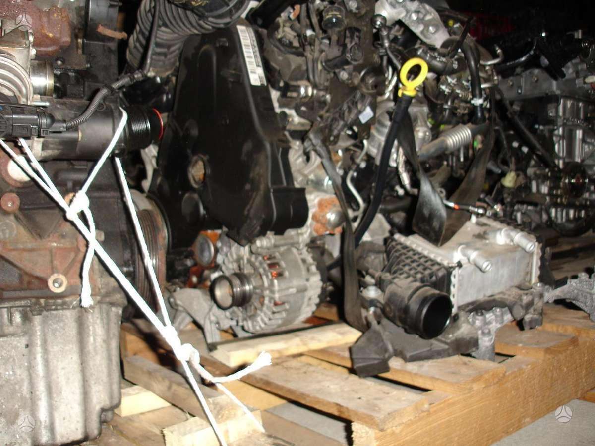 Volkswagen Transporter, CXH CXE, engine parts