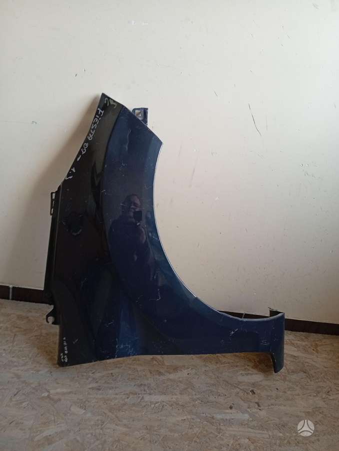 Ford Fiesta fenders