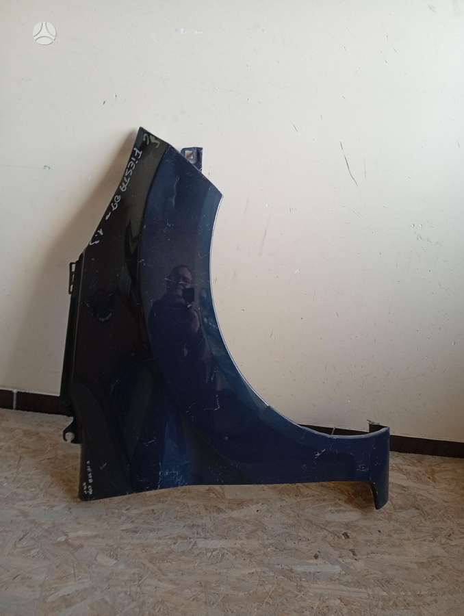 Ford Fiesta spārni