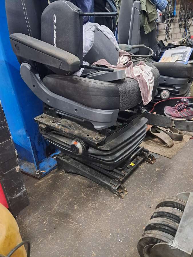 Fiat Ducato, autobusi
