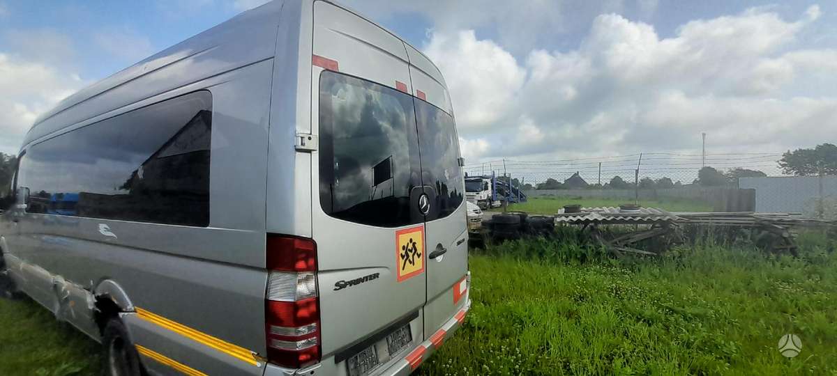Mercedes-Benz Sprinter, passenger vans