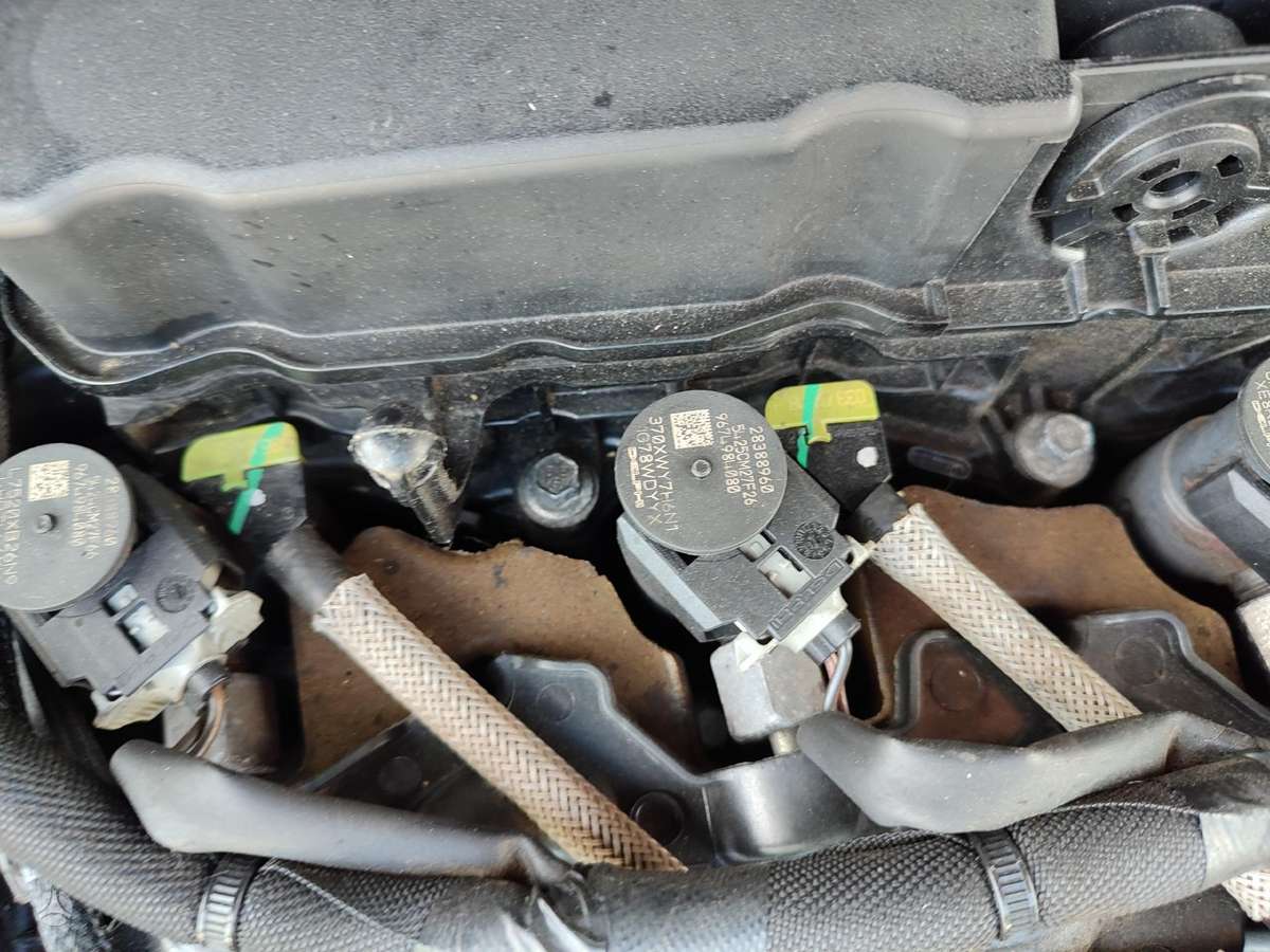Ford Focus Variklis t8da