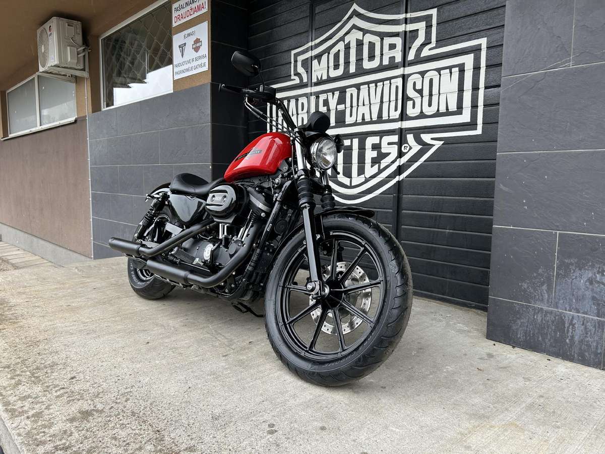 Harley-Davidson 883 883cc, choppers