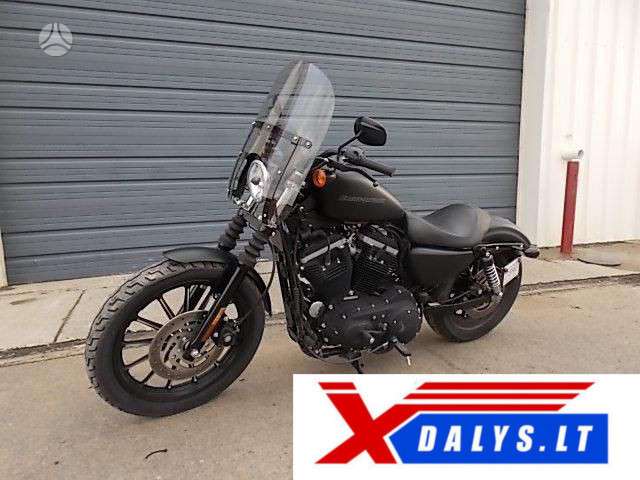 Harley-Davidson Iron Eagle, choppers