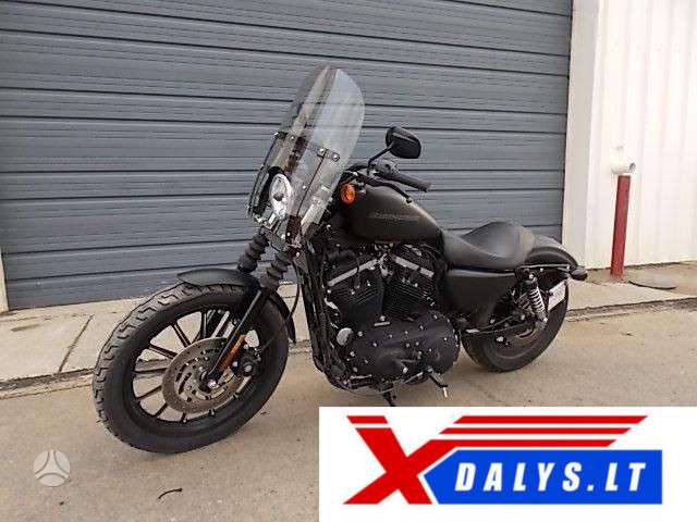 Harley-Davidson Iron Eagle, čioperiai / kruizeriai / custom