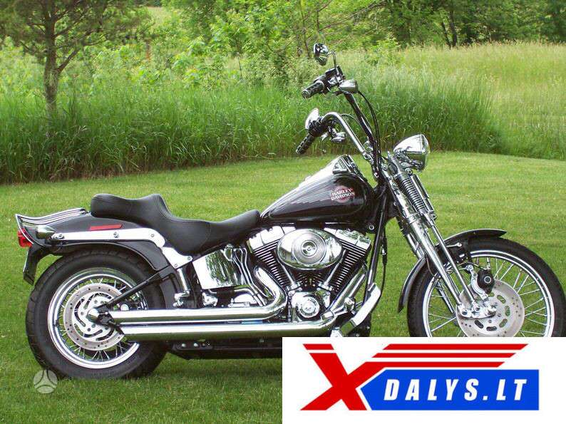 Harley-Davidson Springer, чопперы / круизеры / custom