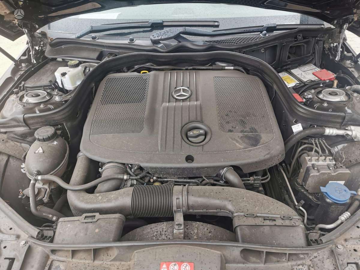 Mercedes-Benz E220 dalimis