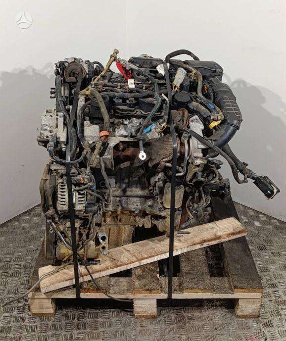 Citroen Berlingo, YHY  (DV5RD), engine