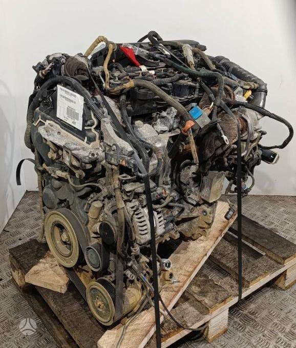 Citroen Berlingo, YHY  (DV5RD), engine