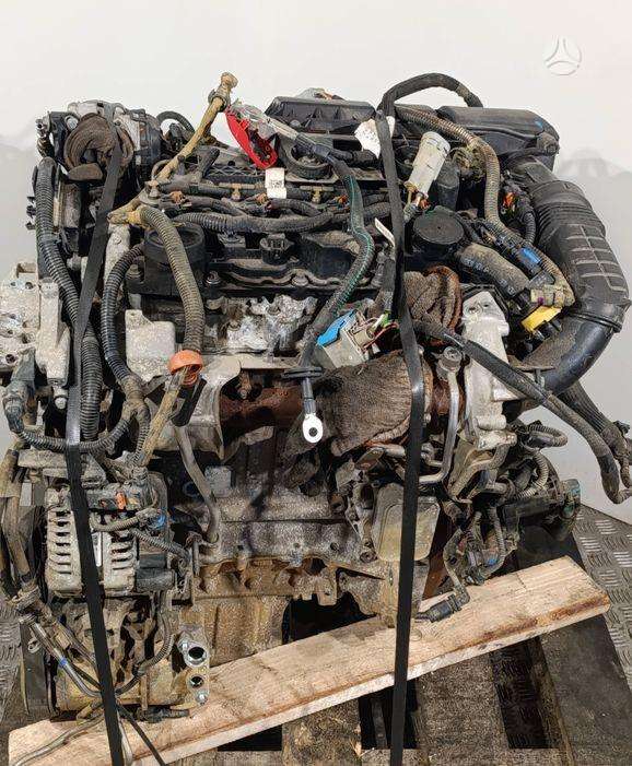 Citroen Berlingo, YHY  (DV5RD), engine
