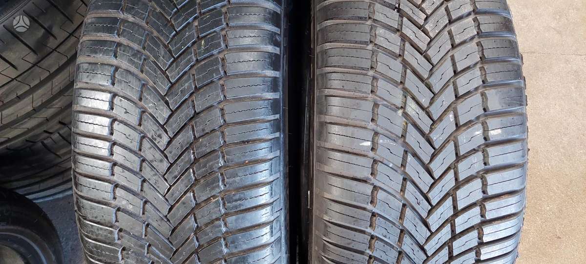Bridgestone, all-season 225/55 R19