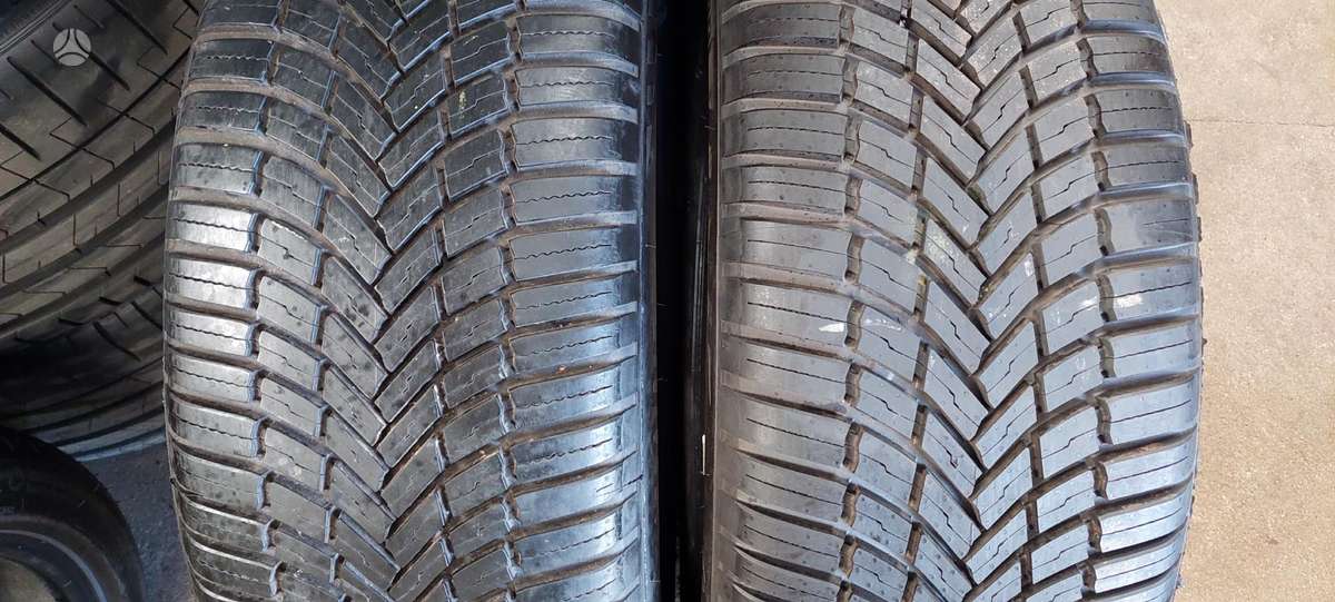 Bridgestone, всесезонные 225/55 R19
